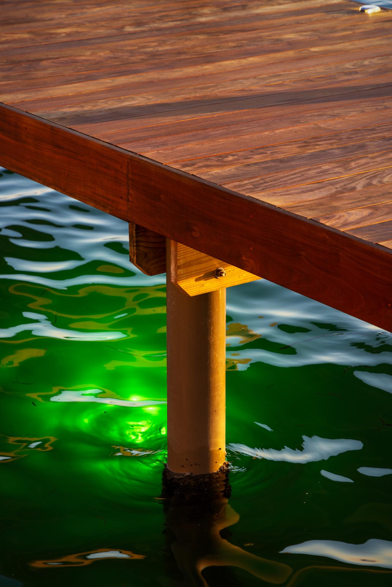 012_BirdKey_Bay&Key_RyanGammaPhotography