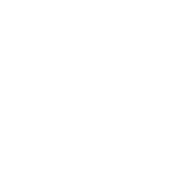 dsdg